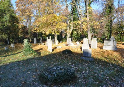 Žatec, Omnium, 2020