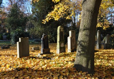 Žatec, Omnium, 2020