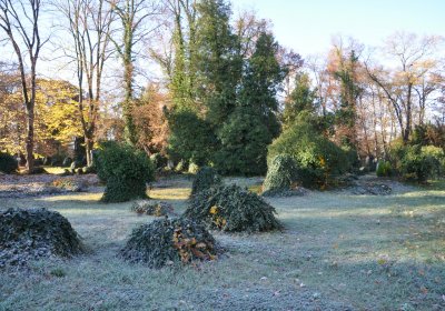 Žatec, Omnium, 2020