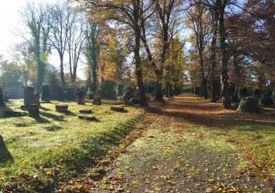 Žatec, Omnium, 2020