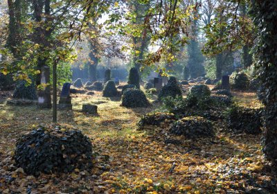 Žatec, Omnium, 2020