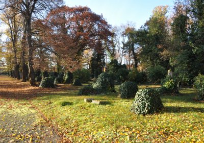 Žatec, Omnium, 2020