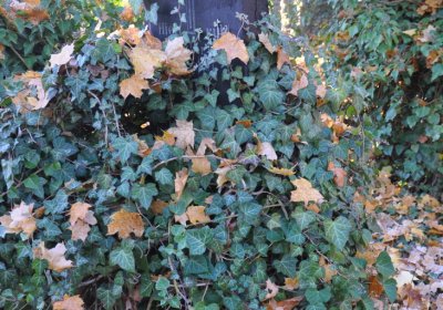 Žatec, Omnium, 2020