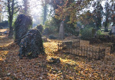 Žatec, Omnium, 2020