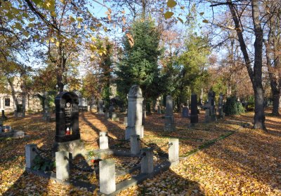 Žatec, Omnium, 2020