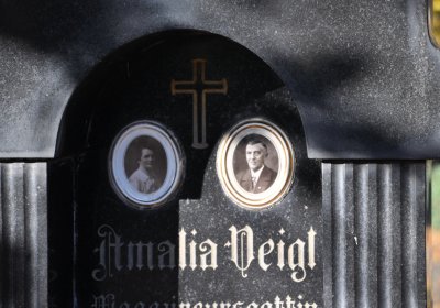 Žatec, Omnium, 2020