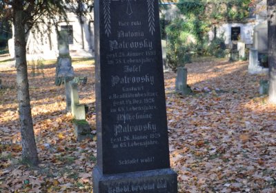 Žatec, Omnium, 2020