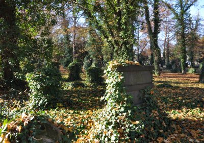 Žatec, Omnium, 2020