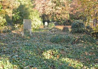 Žatec, Omnium, 2020