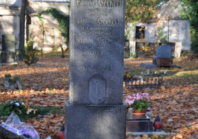 Žatec, Omnium, 2020