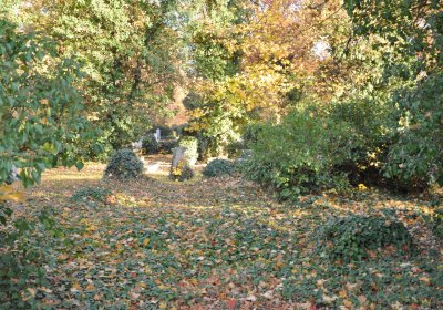 Žatec, Omnium, 2020