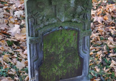 Žatec, Omnium, 2020