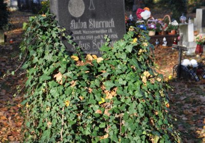 Žatec, Omnium, 2020