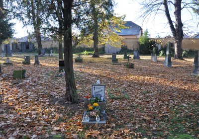 Žatec, Omnium, 2020