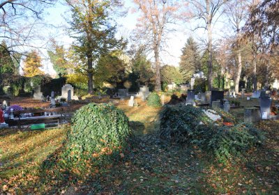 Žatec, Omnium, 2020