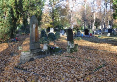 Žatec, Omnium, 2020