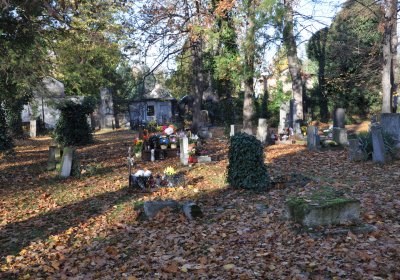 Žatec, Omnium, 2020