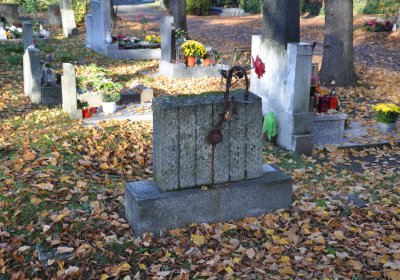 Žatec, Omnium, 2020