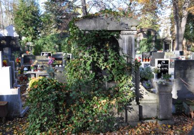 Žatec, Omnium, 2020