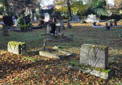 Žatec, Omnium, 2020