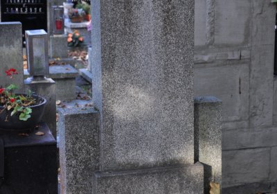 Žatec, Omnium, 2020