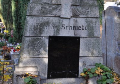 Žatec, Omnium, 2020