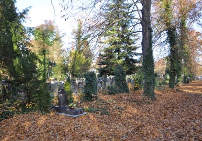 Žatec, Omnium, 2020