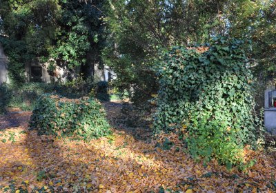 Žatec, Omnium, 2020