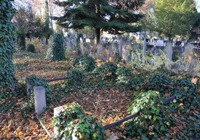 Žatec, Omnium, 2020