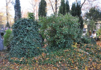 Žatec, Omnium, 2020