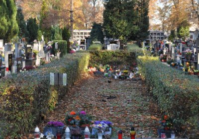 Žatec, Omnium, 2020