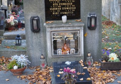 Žatec, Omnium, 2020