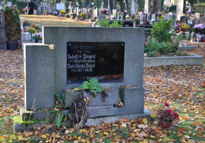 Žatec, Omnium, 2020