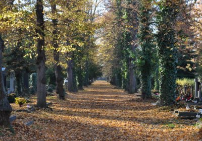 Žatec, Omnium, 2020