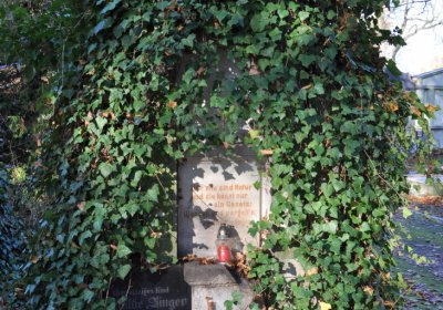 Žatec, Omnium, 2020