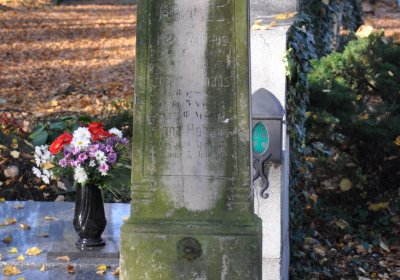 Žatec, Omnium, 2020