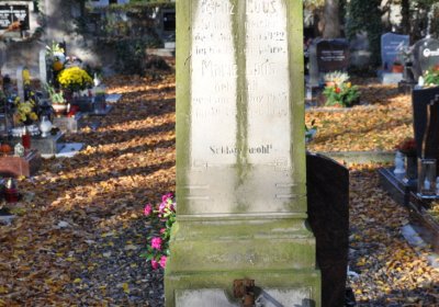 Žatec, Omnium, 2020