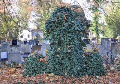 Žatec, Omnium, 2020