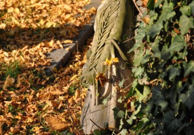 Žatec, Omnium, 2020