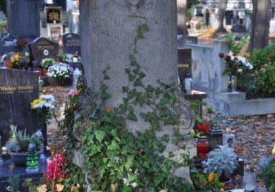 Žatec, Omnium, 2020