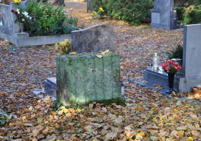 Žatec, Omnium, 2020