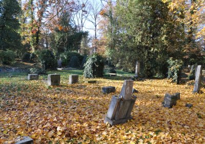 Žatec, Omnium, 2020