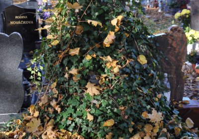 Žatec, Omnium, 2020