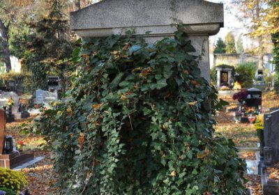 Žatec, Omnium, 2020