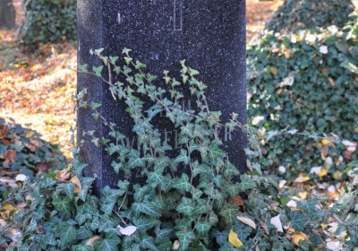 Žatec, Omnium, 2020