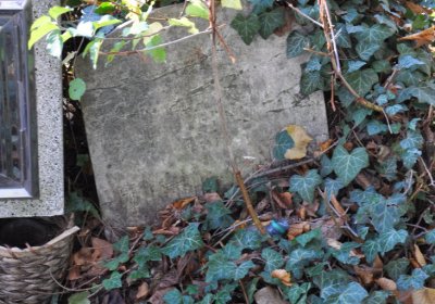 Žatec, Omnium, 2020