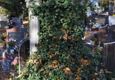 Žatec, Omnium, 2020