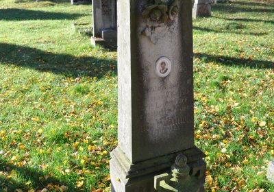 Žatec, Omnium, 2020