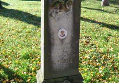 Žatec, Omnium, 2020