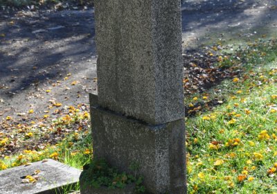 Žatec, Omnium, 2020